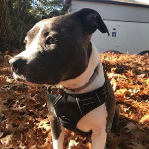 Meet your Posher, Vincent